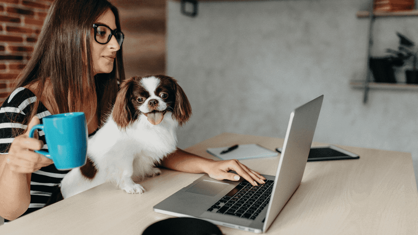 Cosa sapere sull’assicurazione per il tuo cane: Proteggi il tuo amico a quattro zampe!