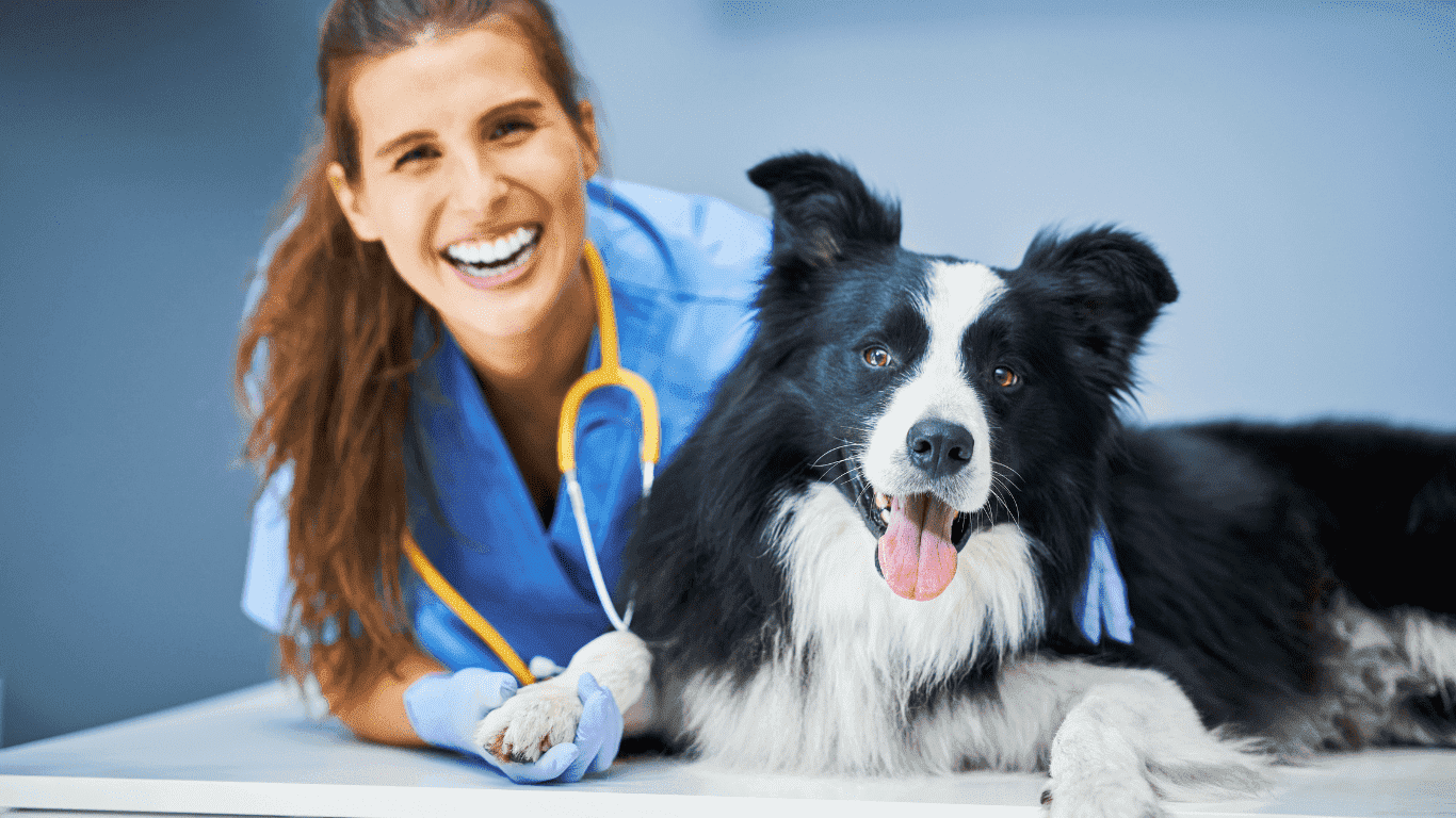 Come preparare il tuo cane per una visita veterinaria: Consigli utili per un’esperienza positiva