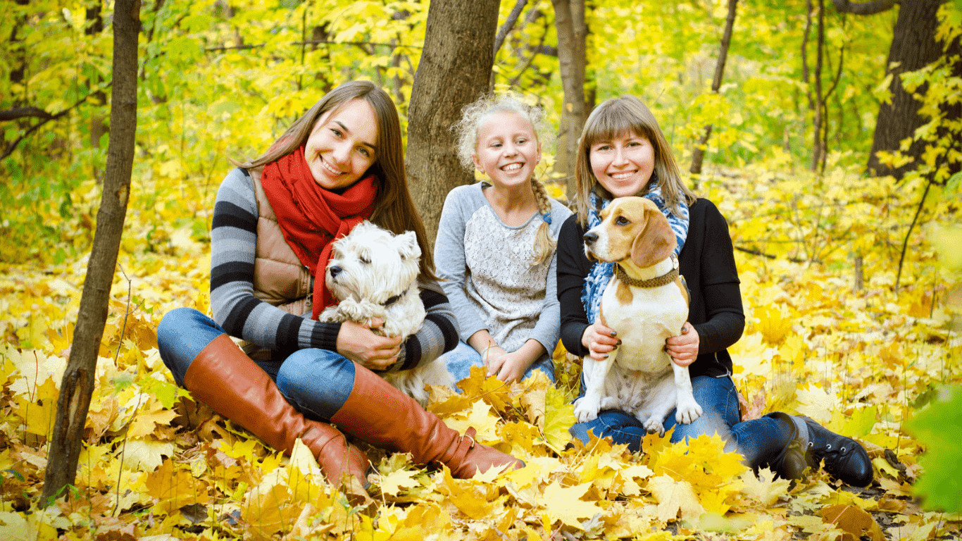 Quale Cane scegliere per Me: Guida per trovare il compagno perfetto!