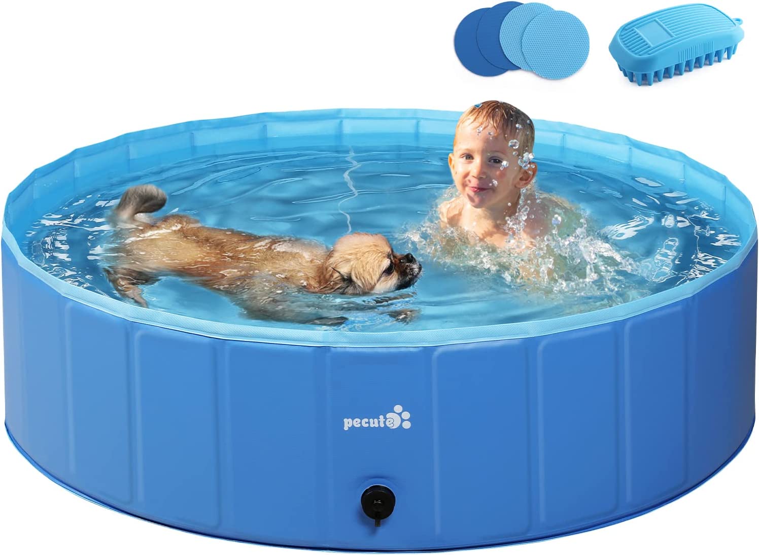 5 motivi per cui dovresti considerare l’utilizzo di una piscina portatile per cani